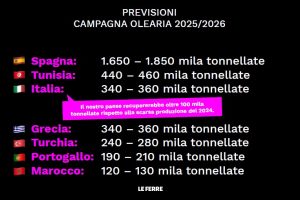 Le Ferre Previsioni Stagione Olearia 25/26